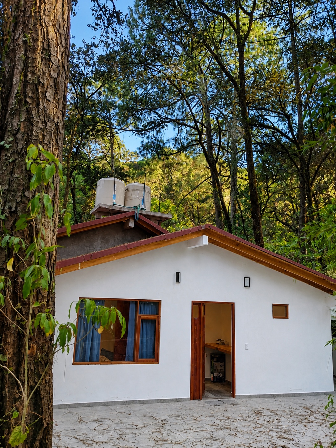 Casa con Vista al Bosque entre los árboles